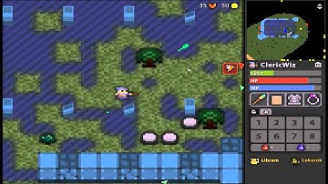 Rotmg NPE/I