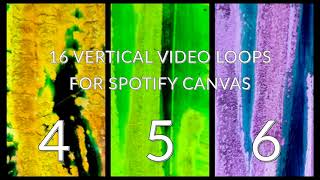 Hand Colored 8mm Film: 16 Vertical Video Loops For Spotify Canvas (Stan Brakhage Style)