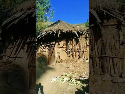 ባህላዊ ሙዚቃ