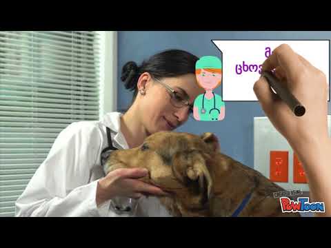 professions for children მომავალი  პროფესიები ბავშვებისთვის