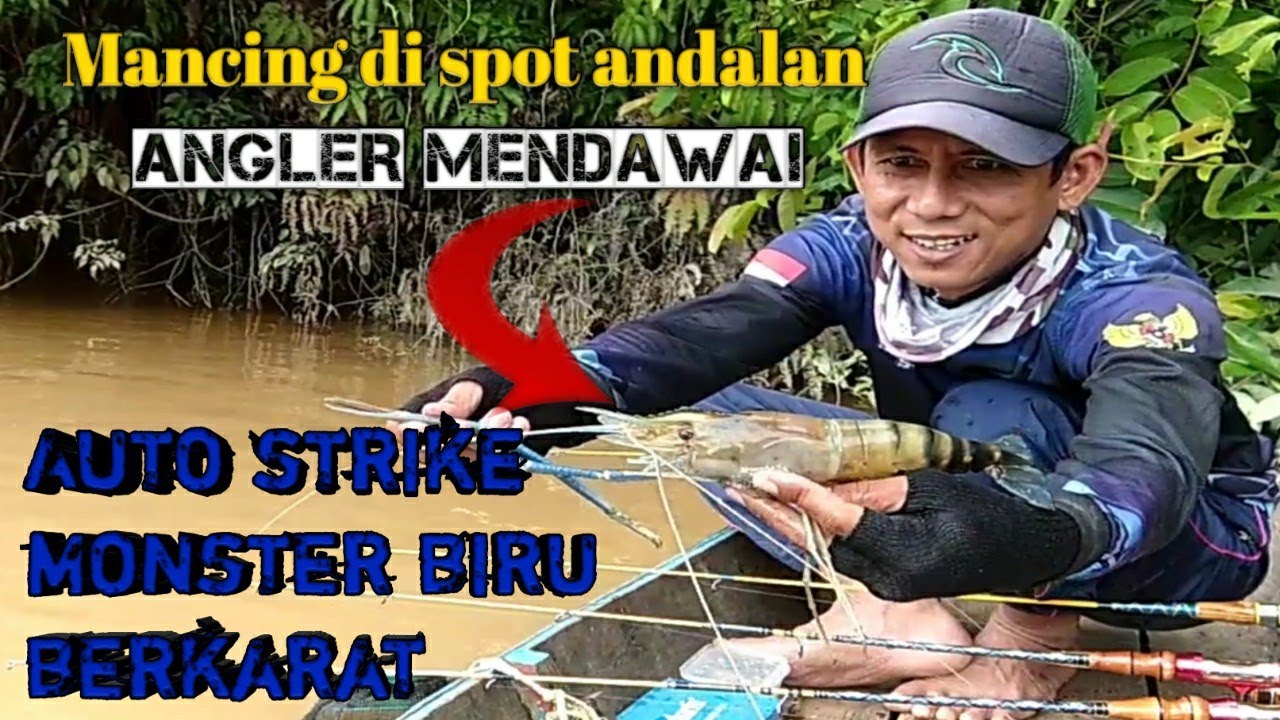 Mancing di spot andalan ANGLER MENDAWAI▶️Auto strike monster biru berkarat🔥