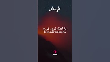 تلاوة تقشعر لها الأبدان | بصوت القارئ علي جابر