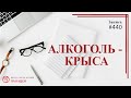 #440 Алкоголь  - крыса / записи Нарколога