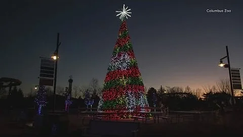 Brew Lights runs at Columbus Zoo for its first year