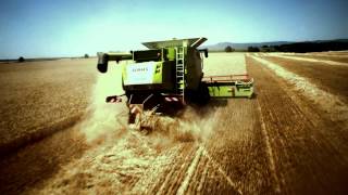 LEXION a commitment short cut / 2013 /en