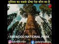 #shorts | world's tallest Tree | विश्व का सबसे ऊँचा पेड़ कौन सा है | #facts
