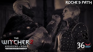 The Witcher 2 [Roche