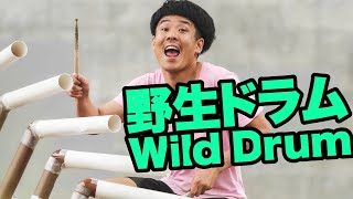 Wild Drum Live