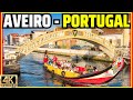La magnifique lagune daveiro au portugal
