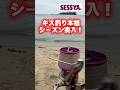 【キス釣り】キス釣り本格シーズン突入
