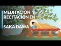 🔸Claridad mental | Medita con Nosotros en el Mes de Saka Dawa