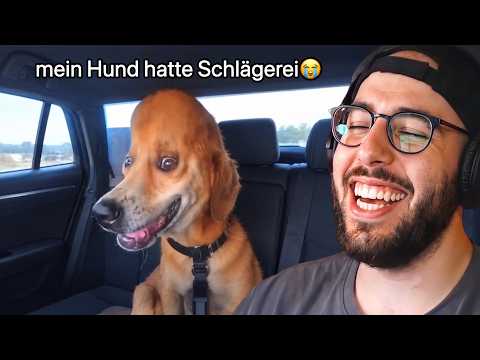 Discord Clips die schon wieder gar keinen Sinn ergeben