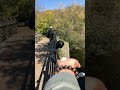 Hand feeding birds
