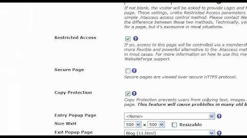 Page Settings Copy Protection - Websiteforge Ecommerce Website