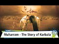 Muharram  the story of karbala