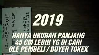 PEMBELI /  BUYER TOKEK HANYA CARI PANJANG 45 CM LEBIH