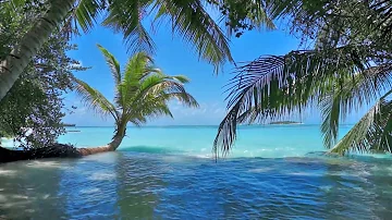 HD Maldives | Beautiful Tropical Ocean with soft waves and palm trees | Relaxation | Mental Vacation