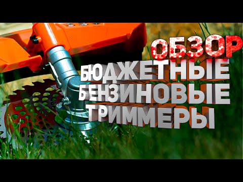 Видео: 547 транскриптомов из 44 областей мозга выявляют особенности старения мозга у нечеловеческих приматов