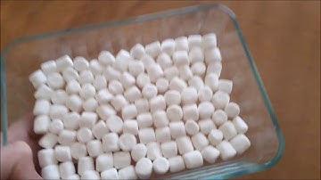 Finding the Speed of Light With Marshmallows