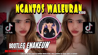 Download lagu DJ NGANTOS WALEURAN🔥EDIT | BOOTLEG ENAKEUN TANJIDOR METAL | UJANG CHOPLOX | YAUDAHIYADJ RMX AZIFVNKY