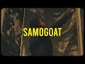 Samosa  samogoat zzzbcamera