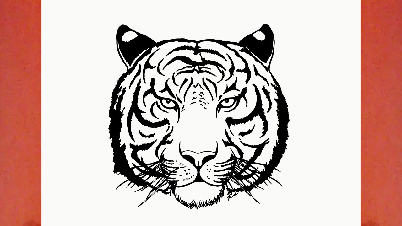 comment dessiner un tigre facile