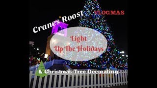 Cranes Roost Light up the Holidays/Christmas Decorating