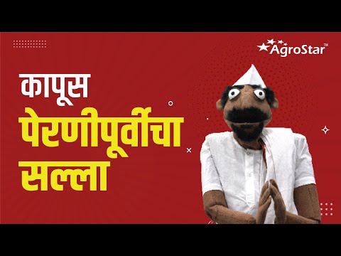 EP- 6 कापूस पेरणीपूर्वी लक्षात ठेवण्याच्या गोष्टी | कपास बुवाई से पहले याद रखें यह बातें | #agrostar - EP- 6 कापूस पेरणीपूर्वी लक्षात ठेवण्याच्या गोष्टी | कपास बुवाई से पहले याद रखें यह बातें | #agrostar