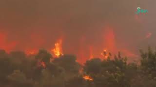 Türkiye’nin Ciğerleri ‘Sönüyor’ Resimi