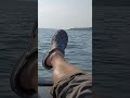 Рыбалка на Волге, Кострома