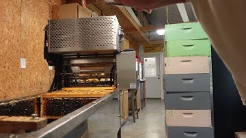 Extracting honey part 1