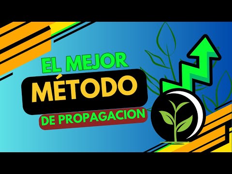 MULTIPLICA TUS PLANTAS EN POCO TIEMPO CON ÉSTE MÉTODO🌿| Acodo aéreo @MELMORA