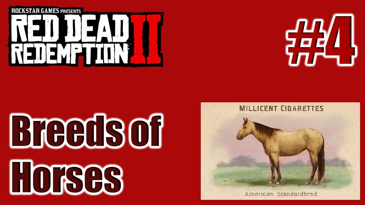 RDR2 Breeds of Horses 04 American Standardbred Cigarette Card Türkçe Tayperyum YouTube