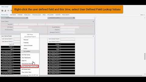 EAM   User Defined Fields