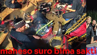 Download lagu perfome! maheso suro bima sakti! kunci lor poncokusumo malang jawa timur