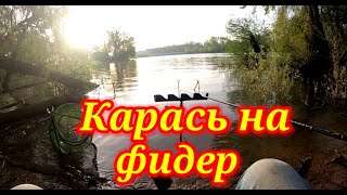 Карась на фидер. Кубань, Фёдоровская.