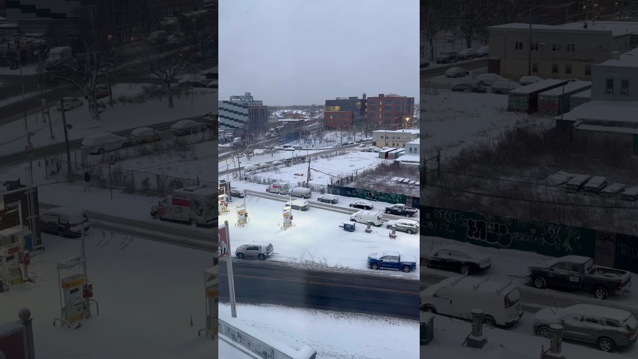 New York City after the Snow Storm 🌨️❄️🏂 