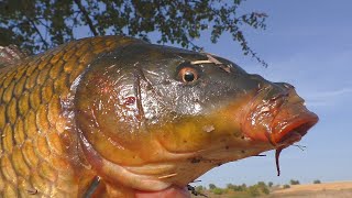 видео: 9 часов в лодке.  Ловля карпа на боковой кивок осенью. My fishing картинка: 9 часов в лодке.  Ловля карпа на боковой кивок осенью. My fishing