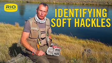 Identifying Soft Hackles