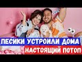 ЧТО У МОРГЕНШТЕРНА ПРОИЗОШЛО С ДЕВОЧКАМИ? / Новости Дом 2 от Лисенка