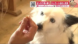 「コーンちょうだい！」 キレイな