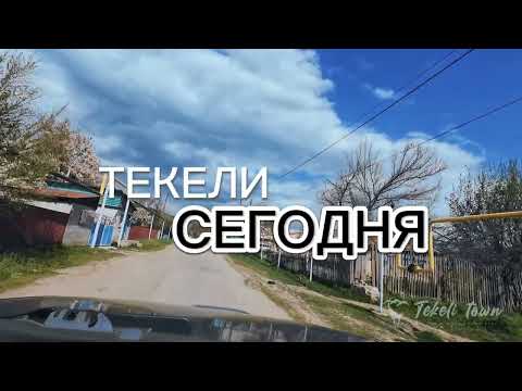 Видео: Текели сегодня. Чажи.