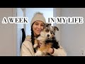 A Week in My Life | moving update, Gymshark haul, Sunshine Coast weekend