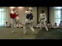 Darren Holmquist Martial Arts (Taekwondo) Reel