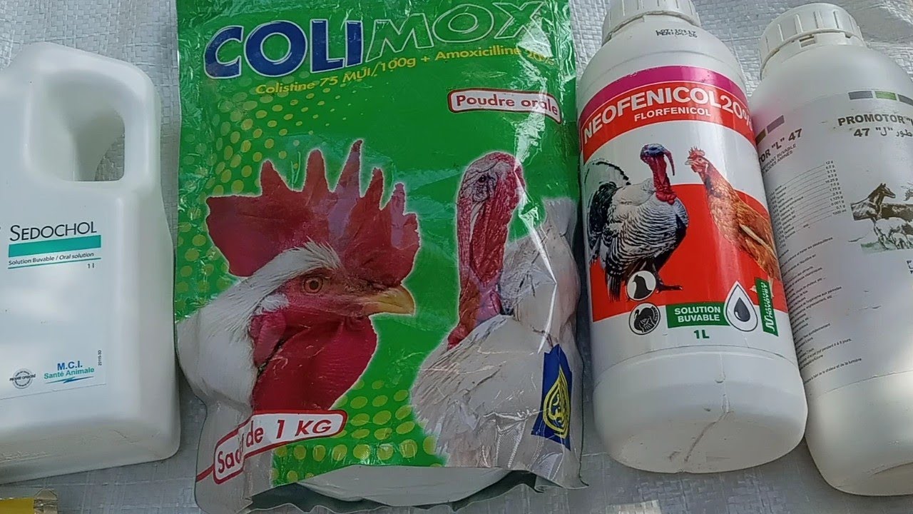 حلقة مهمة: الأدوية التي تحتاجها أخي المربي لعلاج الأمراض التي قد تصيب دجاجك.