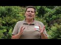Brodsworth Hall gardener Georgina Yates 25th September 2019