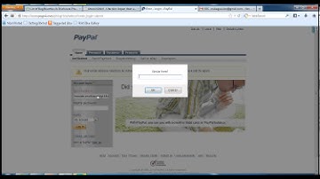 XSS paypal payload
