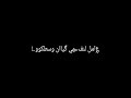 حلقولو اسد و بحكم جمهوري حلقولو اسد و بحكم جمهوري