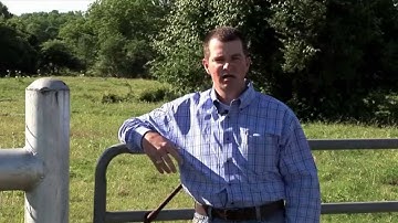 Jason Cleere - BQA - Handling Incoming Cattle On a Ranch