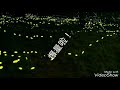 幸福綠光螢火蟲祭